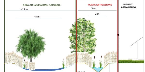 area evoluzione naturale